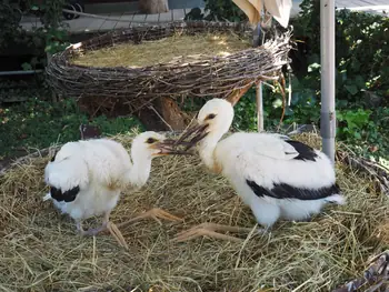 NaturOparC Hunawihr, Alsace (France)